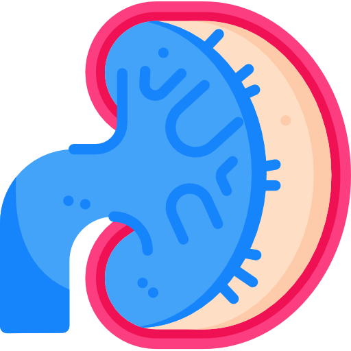 Urology Care
