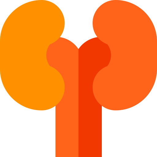 Nephrology Care